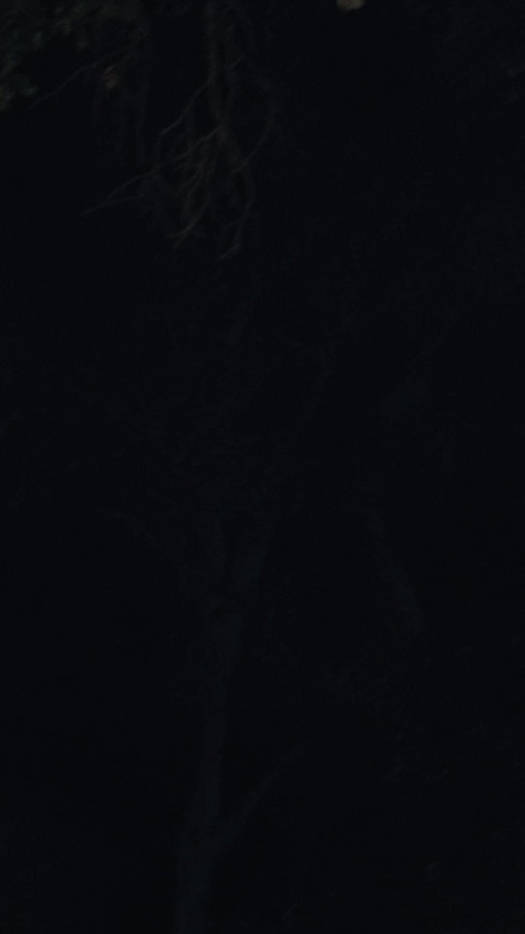 Episode Poster