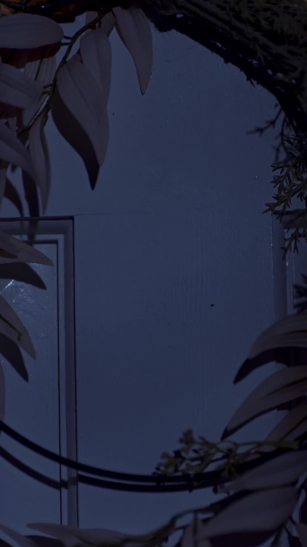 Episode Poster