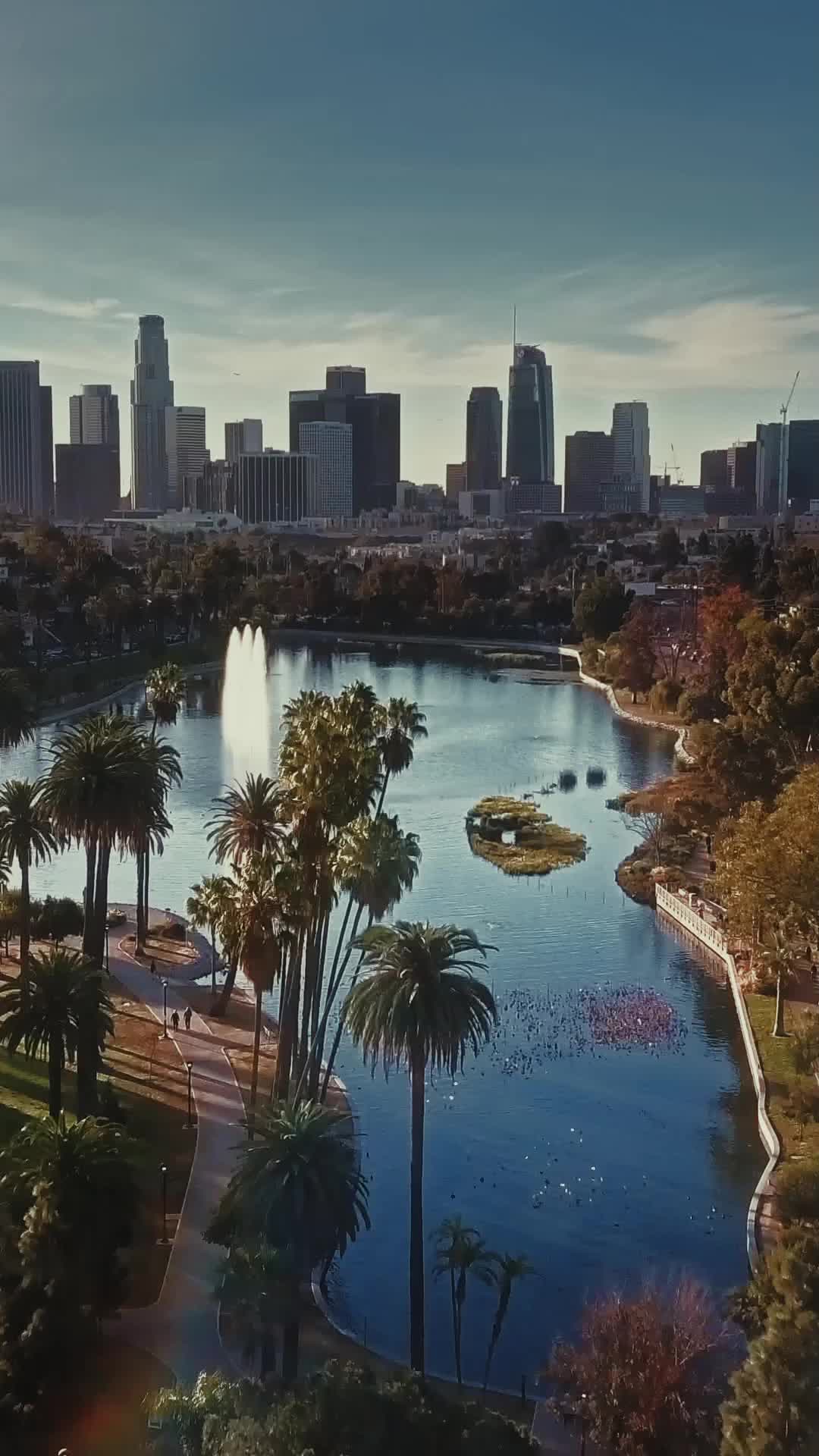 Episode Poster