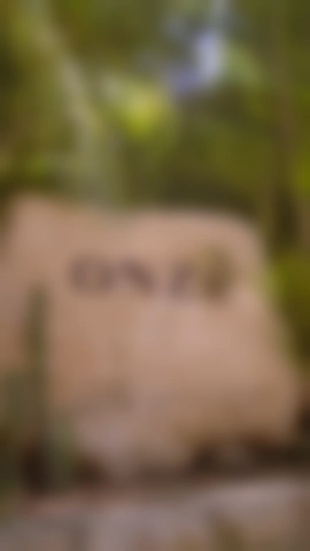 Episode Poster