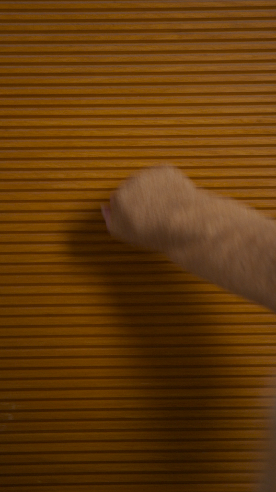 Episode Poster