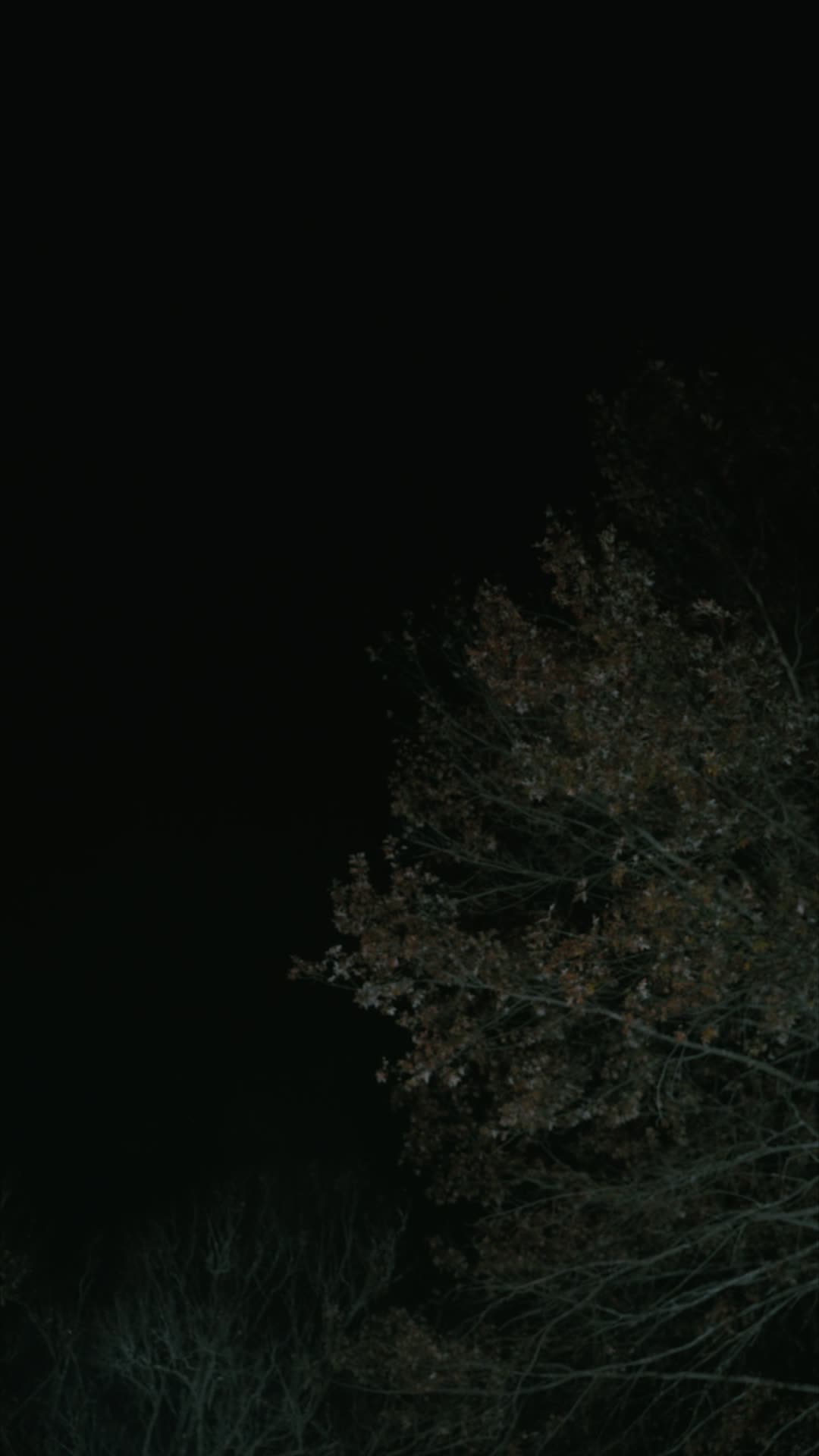 Episode Poster
