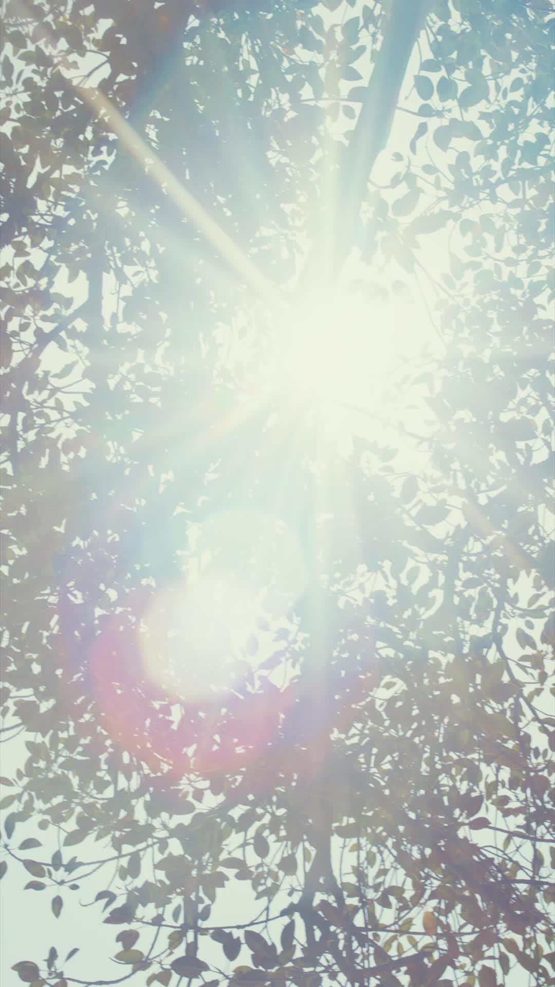 Episode Poster