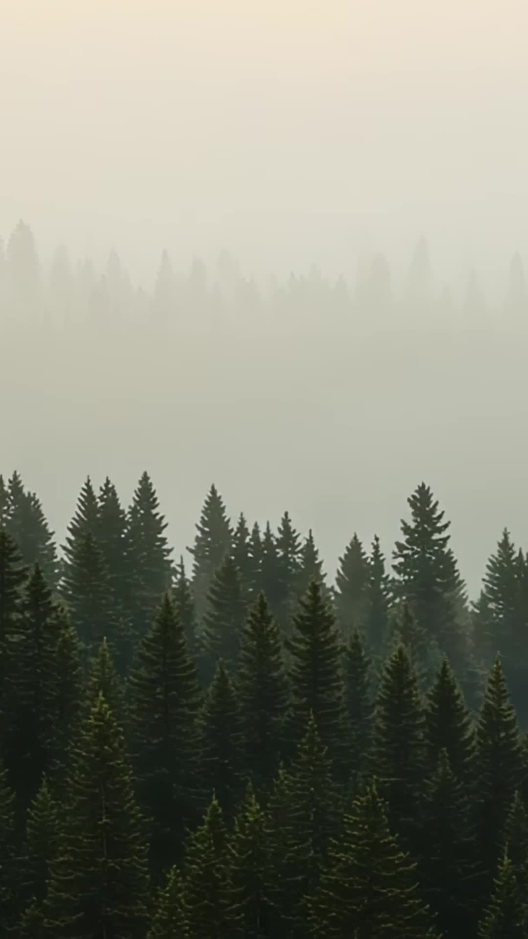 Episode Poster