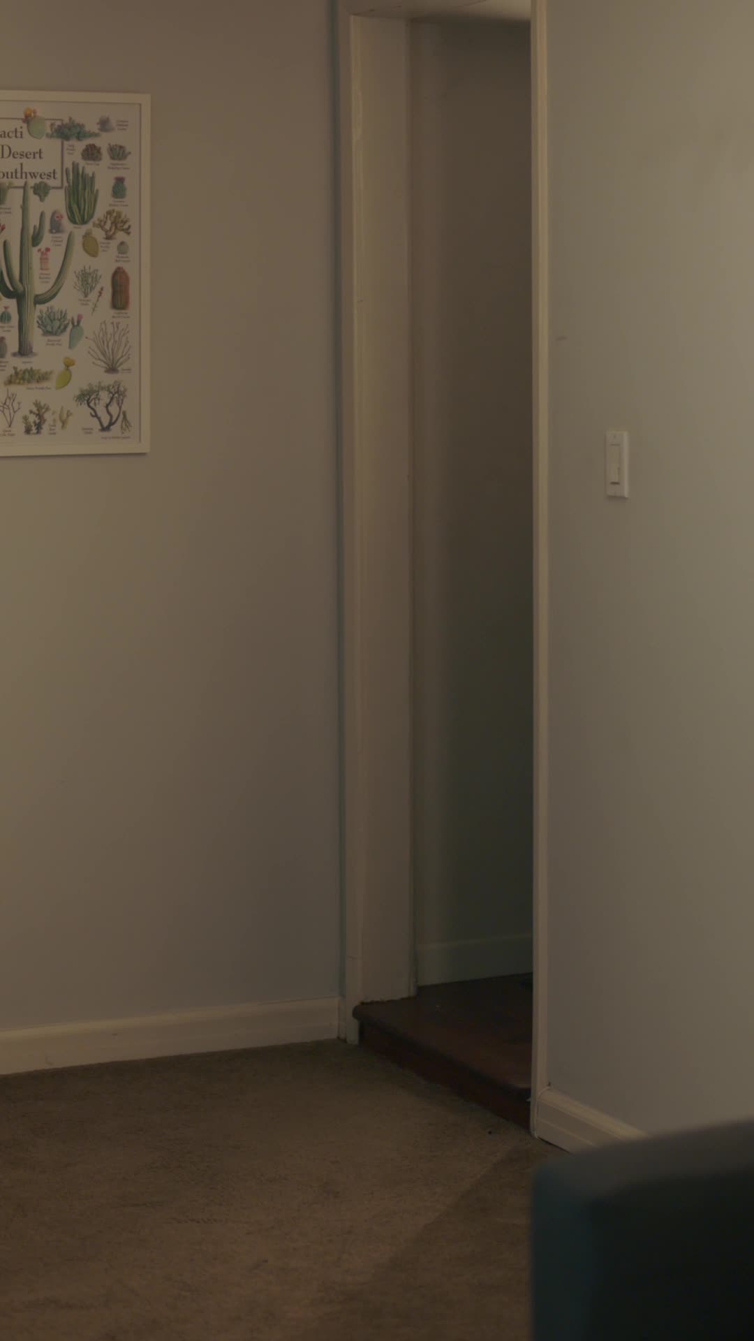 Episode Poster